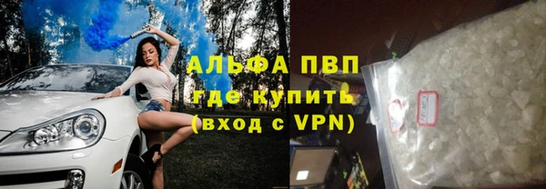 гидра Абаза