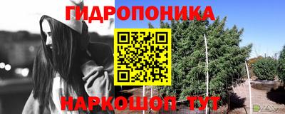 гидра Ливны