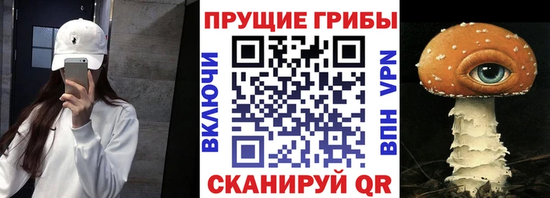 Псилоцибиновые грибы GOLDEN TEACHER  Иваново 