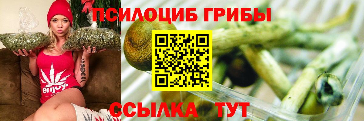 Галлюциногенные грибы Psilocybine cubensis  Вход с VPN  Галлюциногенные грибы MAGIC MUSHROOMS  купить наркотик  Иваново 